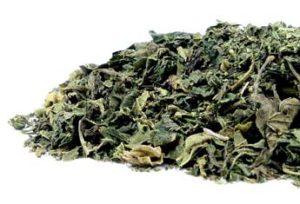 Dried Nettle Leaf, photo from Mountain Rose Herbs
