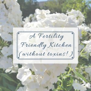 Fertility Friendly Kitchen without toxins