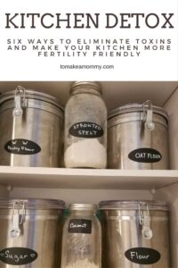 Kitchen Detox eliminate toxins for fertility