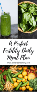 A perfect daily fertility meal plan to make sure you stay low carb but get plenty of nutrient-dense proteins and fats! Great TTC diet!