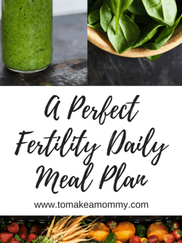 A perfect daily fertility meal plan to make sure you stay low carb but get plenty of nutrient-dense proteins and fats! Great TTC diet!