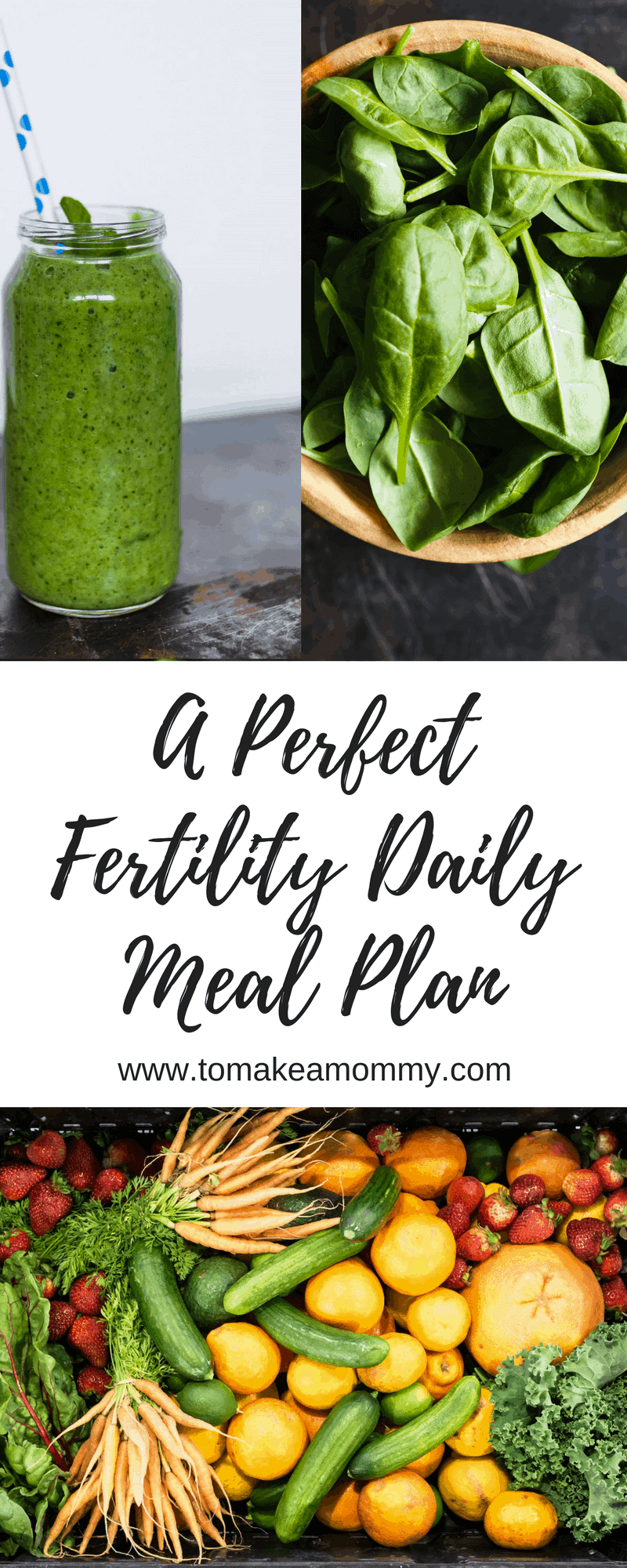 low carb fertility diet plan