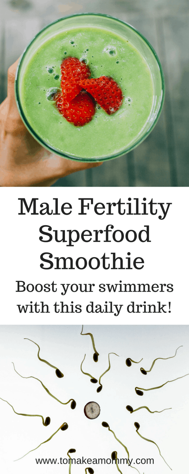 Ultimate Male Fertility Smoothie, Improve Sperm Count and Quality with
