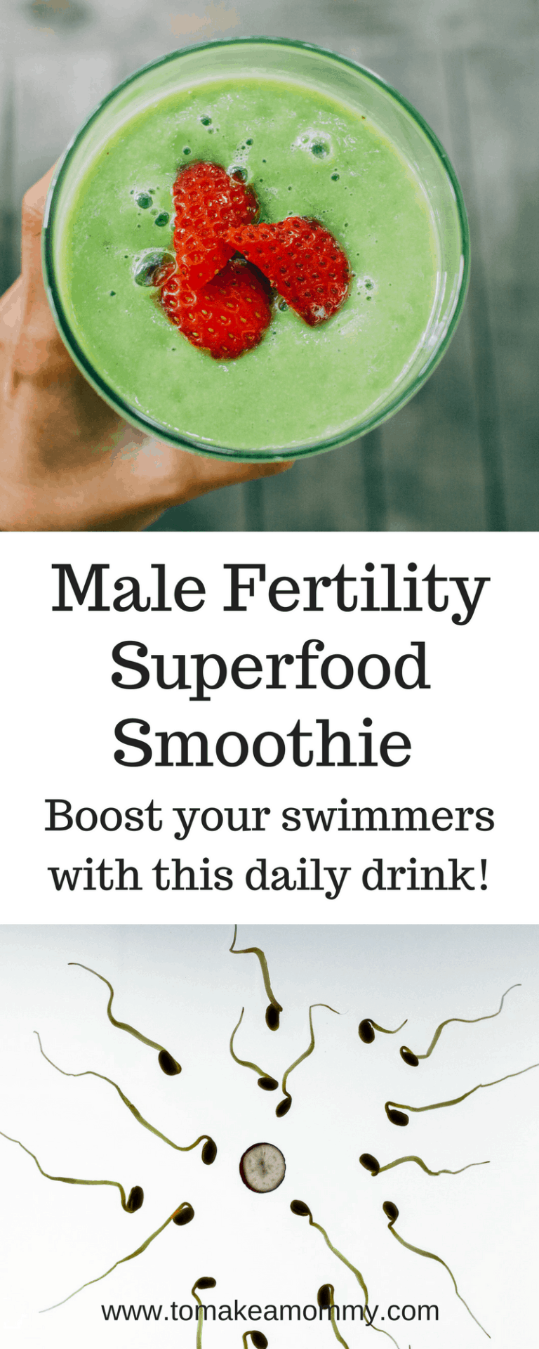 Ultimate Male Fertility Smoothie, Improve Sperm Count and Quality with