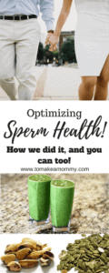 Increasing sperm health, sperm count, motility and morphology