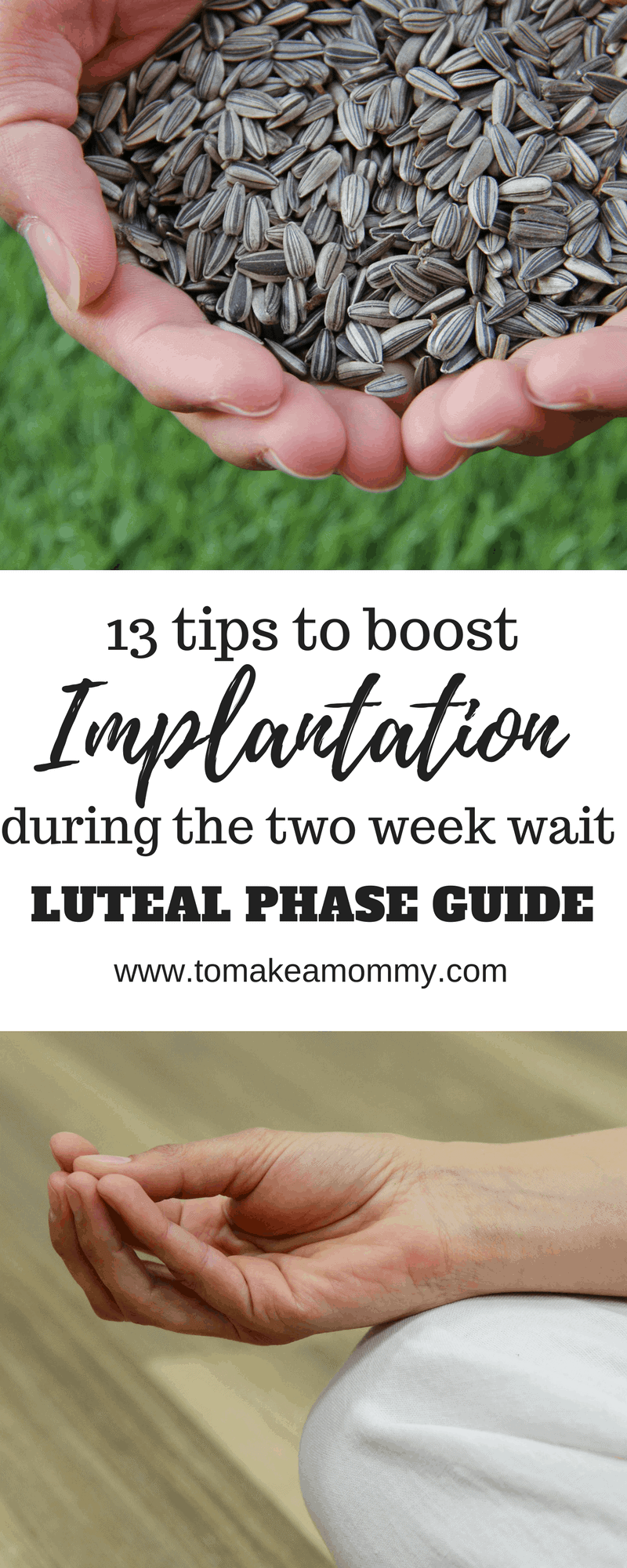 3 Ways To Improve Embryo Implantation - Wikihow