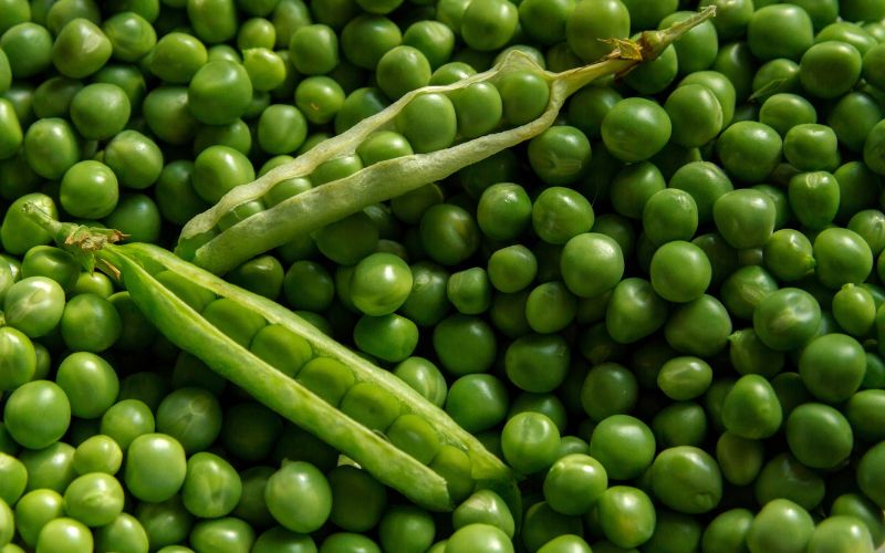 Is is safe to eat peas while trying to conceive?