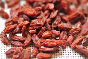 Goji berries for male fertility- a superfood for sperm quantity and quality