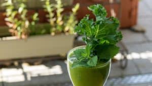 green smoothie for male fertility and sperm quantity and quality