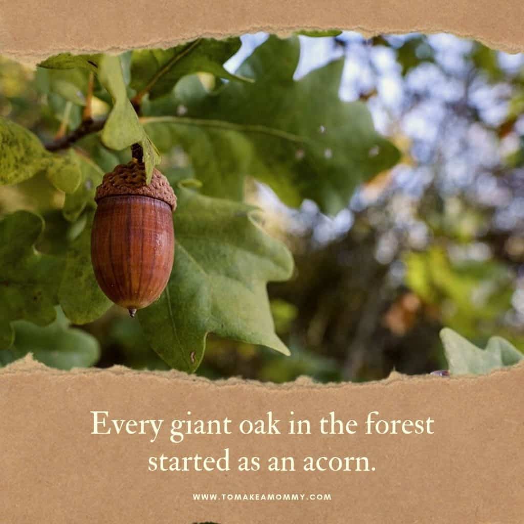 Motivation and affirmations for fertility in the fall- every oak started as an acorn! #fertility #infertility