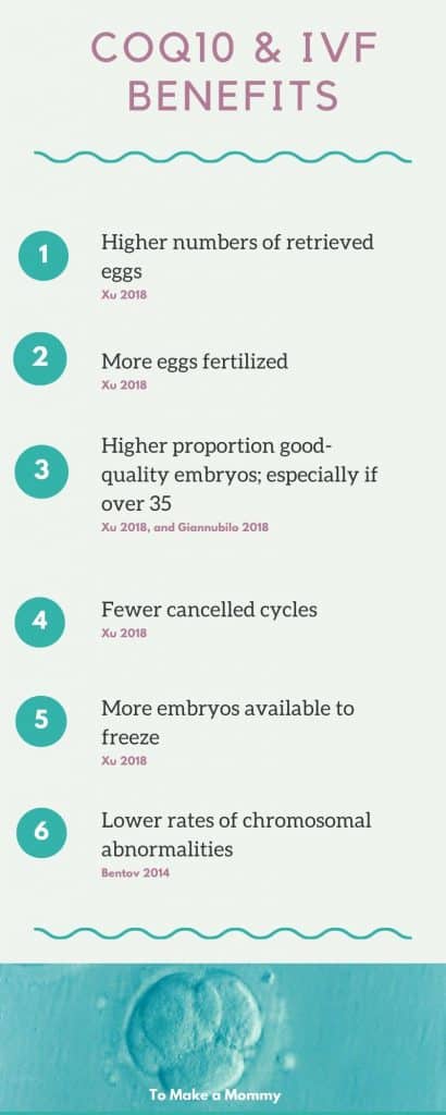 The many benefits of CoQ10 on IVF treatments, egg health, sperm health, Ubiquinol or Ubiquinone!