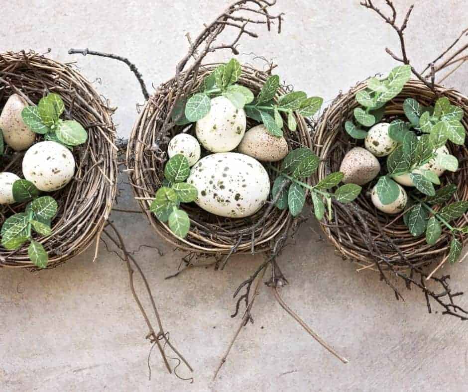 Eggs and Nests are Springtime and Easter Fertility Symbols