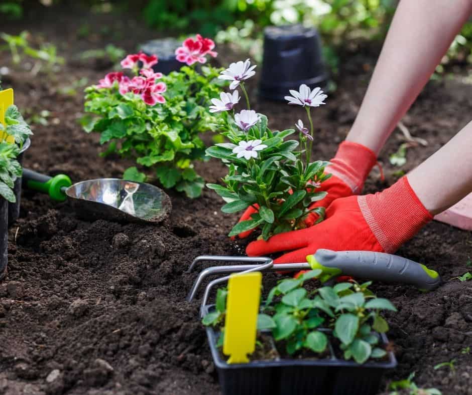 Planting a Garden at the Spring Equinox or Eastertime