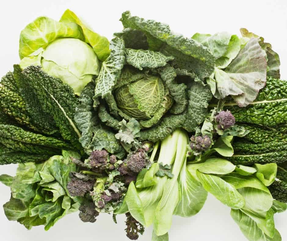 How fertility smoothies help you get in more leafy greens- one of the most important foods in the fertility diet!
