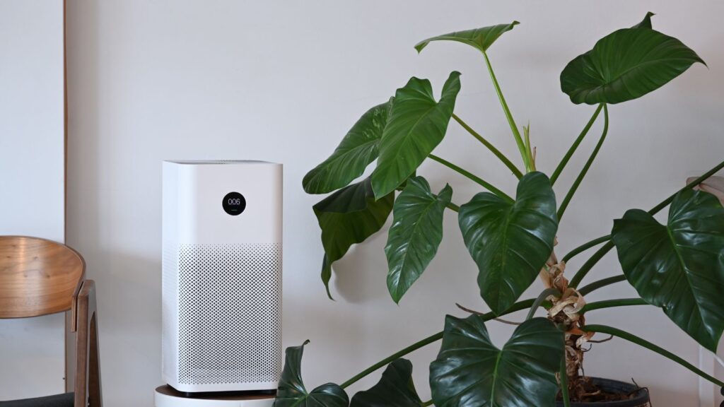 Best air purifiers for the home 