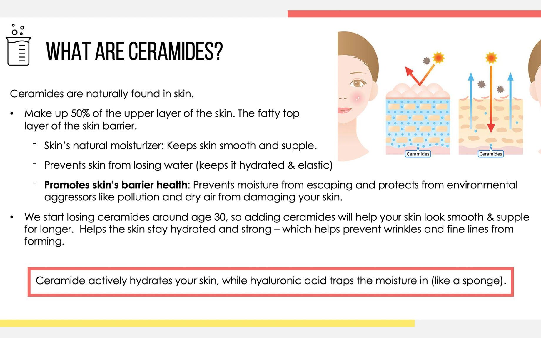 What are Ceramides? Ceramides actively hydrate your skin, and hyaluronic acid traps the moisture in like a sponge!