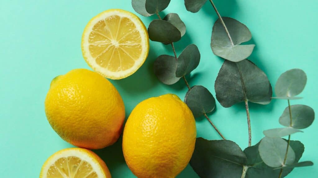 Nontoxic cleaning products DIY recipes, picture of lemons and eucalyptus. Safe for fertility and pregnancy.